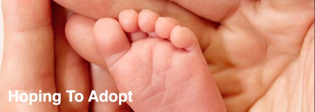 HopToAdopt_Main